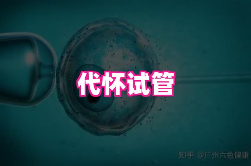 nub孕网 2